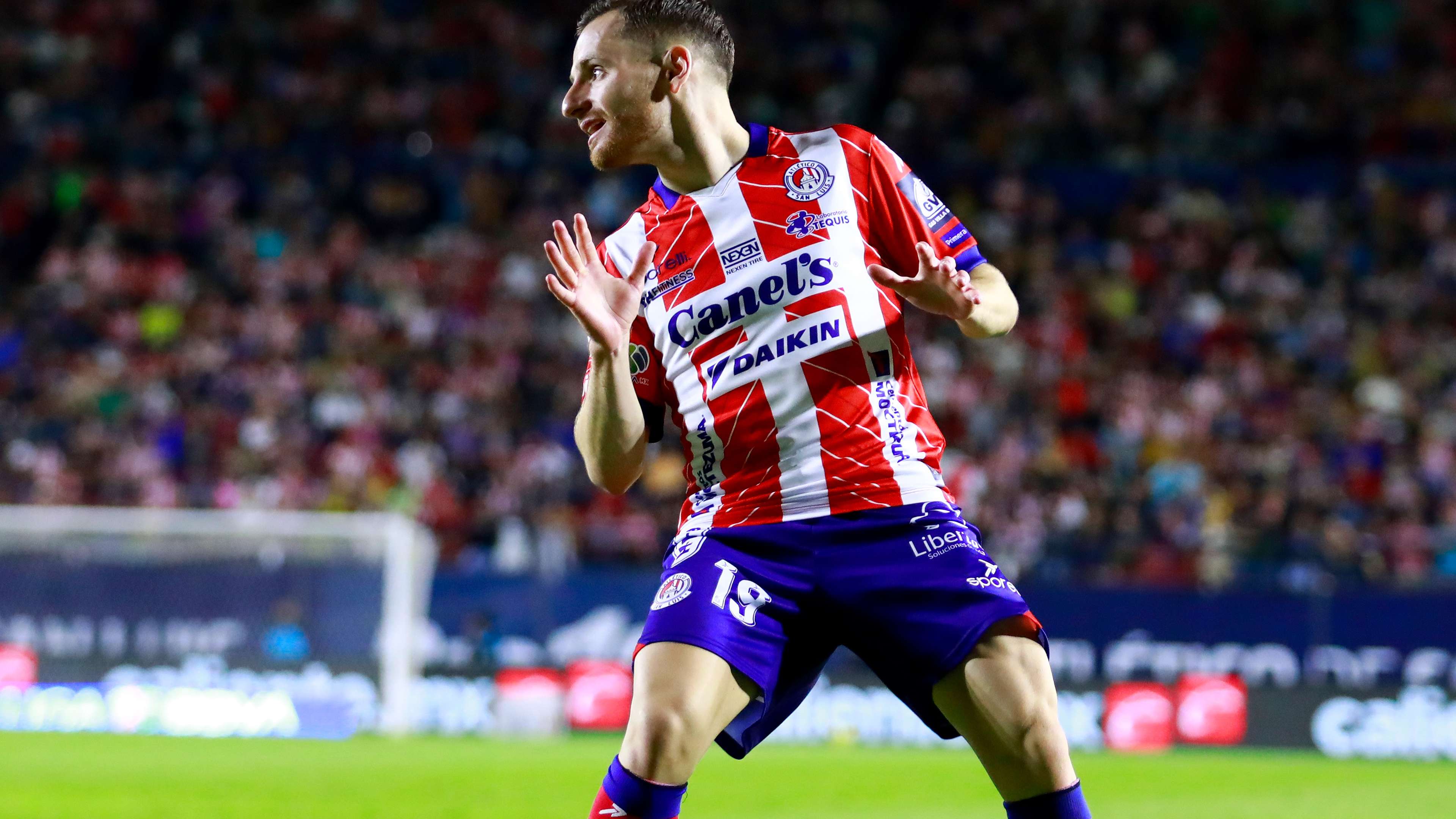 不少网友也 不少网友也